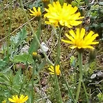 Bed & , Corte Rossa -1 Min Walk To Bernina Express 2*