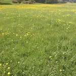 Bed & , Corte Rossa -1 Min Walk To Bernina Express Hotel 2*