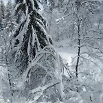 Hotel Bed & , Corte Rossa -1 Min Walk To Bernina Express Tirano