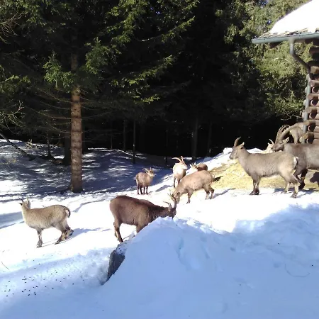 Bed & , Corte Rossa -1 Min Walk To Bernina Express 2* 티라노