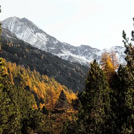 Bed & , Corte Rossa -1 Min Walk To Bernina Express 2*
