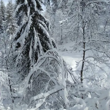 Hotel Bed & , Corte Rossa -1 Min Walk To Bernina Express Tirano